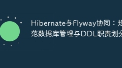 Hibernate und Flyway Collaborate: Standardisieren Sie Datenbankverwaltung und DDL -Verantwortlichkeiten