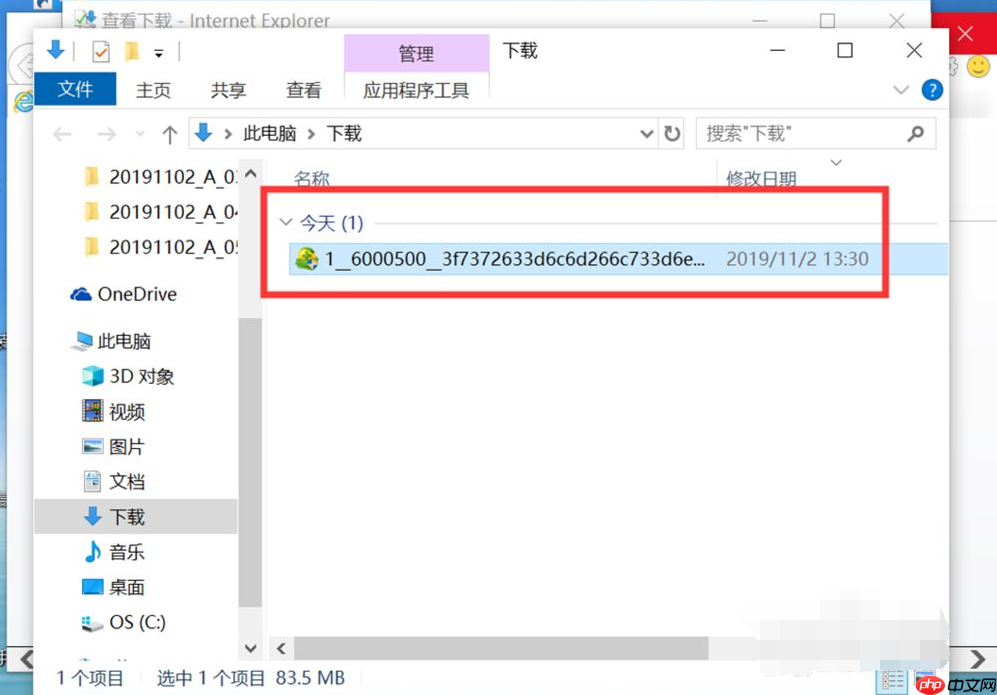 Win10专业版IE浏览器下载的文件在哪?