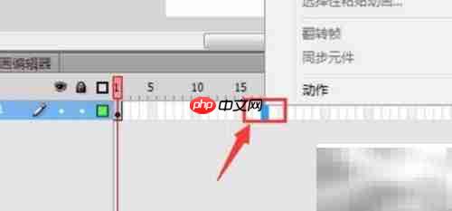 Flash动画制作入门指南