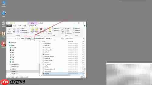 全民K歌下载位置查看方法