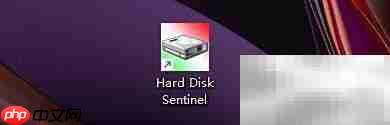 hard disk sentinel磁盘活动图标显示方法