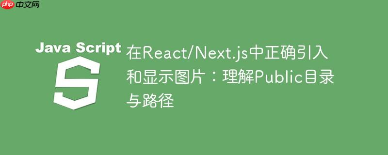 在React/Next.js中正确引入和显示图片:理解Public目录与路径