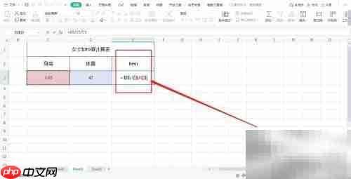 女士BMI计算方法