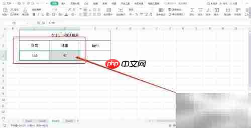 女士BMI计算方法