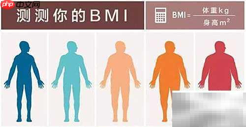 BMI是什么？一文读懂
