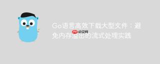 Go语言高效下载大型文件：避免内存溢出的流式处理实践