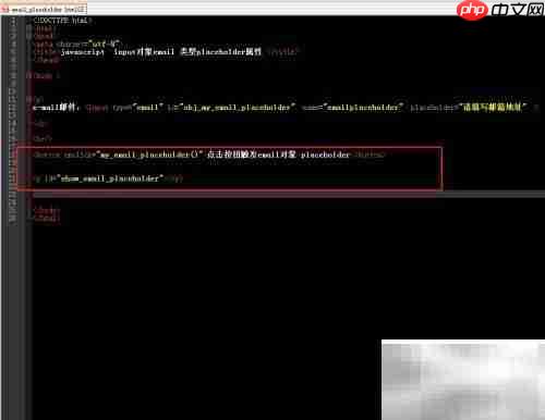 email中placeholder属性用法解析