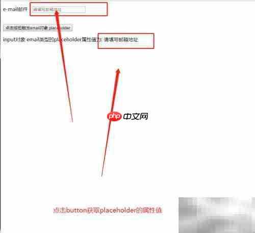 email中placeholder属性用法解析