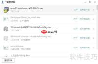 Windows Media Player 11 简介