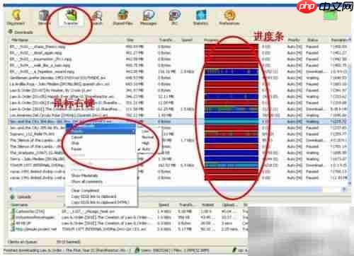 eMule使用入门指南