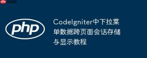 CodeIgniter中下拉菜单数据跨页面会话存储与显示教程