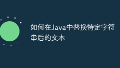 So ersetzen Sie den Text nach einer bestimmten Zeichenfolge in Java