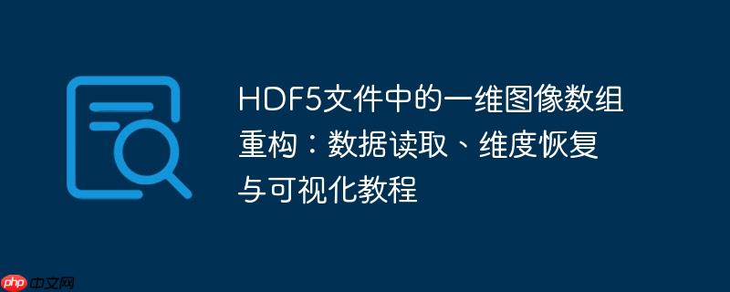 HDF5文件中的一维图像数组重构：数据读取、维度恢复与可视化教程
