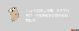 mgo 驱动高级应用：嵌套字段操作、字段映射与非结构化数据处理