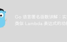 Go 语言匿名函数详解：实现类似 Lambda 表达式的功能