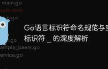 Go语言标识符命名规范与空白标识符 _ 的深度解析