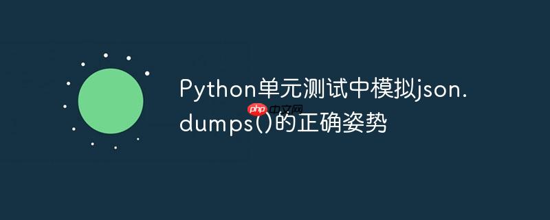 Python单元测试中模拟json.dumps()的正确姿势