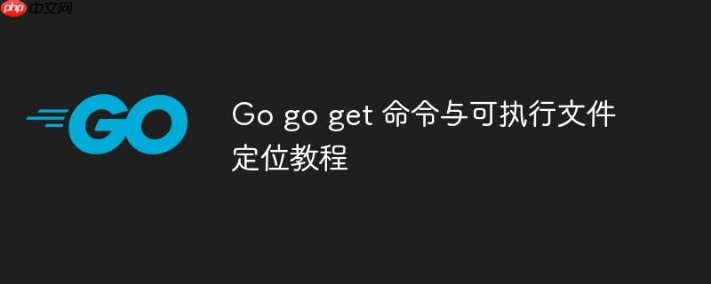Go go get 命令与可执行文件定位教程