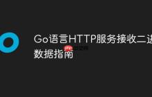 Go语言HTTP服务接收二进制数据指南
