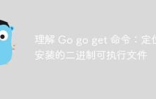 理解 Go go get 命令：定位安装的二进制可执行文件