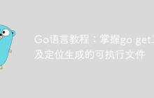 Go语言教程：掌握go get工具及定位生成的可执行文件