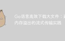 Go语言高效下载大文件：避免内存溢出的流式传输实践