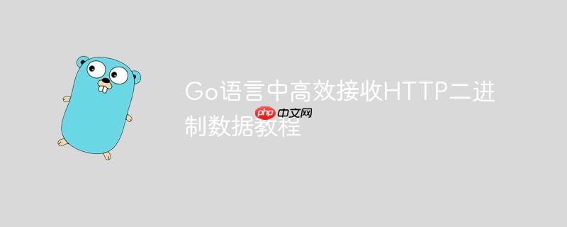 Go语言中高效接收HTTP二进制数据教程