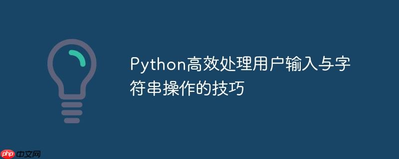 Python高效处理用户输入与字符串操作的技巧