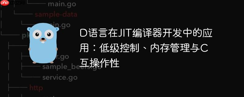 D语言在JIT编译器开发中的应用：低级控制、内存管理与C互操作性
