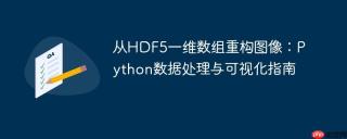 从HDF5一维数组重构图像：Python数据处理与可视化指南