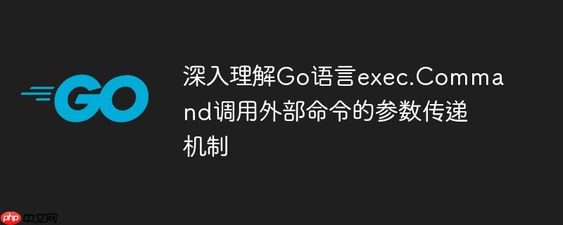深入理解Go语言exec.Command调用外部命令的参数传递机制