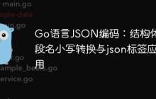 Go语言JSON编码:结构体字段名小写转换与json标签应用