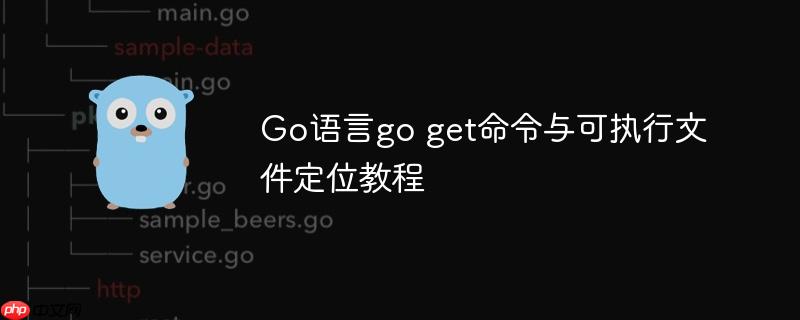 Go语言go get命令与可执行文件定位教程
