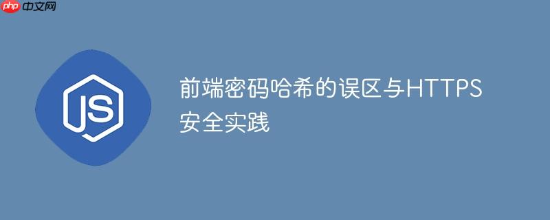 前端密码哈希的误区与HTTPS安全实践