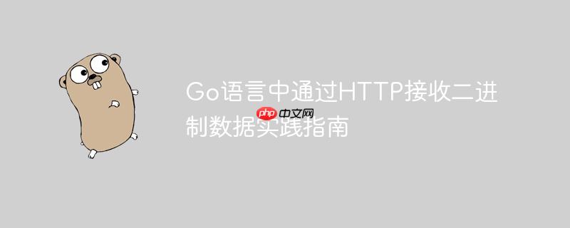 Go语言中通过HTTP接收二进制数据实践指南