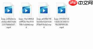 格式工厂转换mp4失败的原因