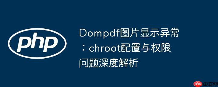 Dompdf图片显示异常:chroot配置与权限问题深度解析