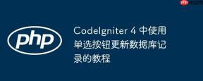 CodeIgniter 4 中使用单选按钮更新数据库记录的教程
