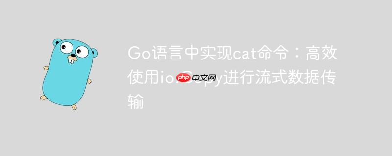Go语言中实现cat命令：高效使用io.Copy进行流式数据传输
