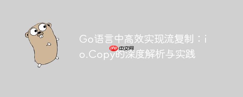 Go语言中高效实现流复制:io.Copy的深度解析与实践