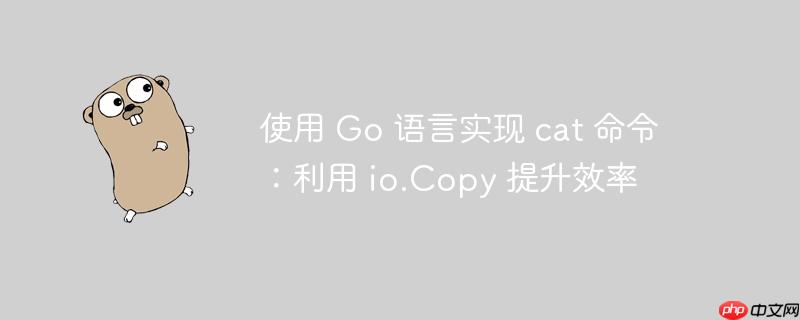 使用 Go 语言实现 cat 命令：利用 io.Copy 提升效率