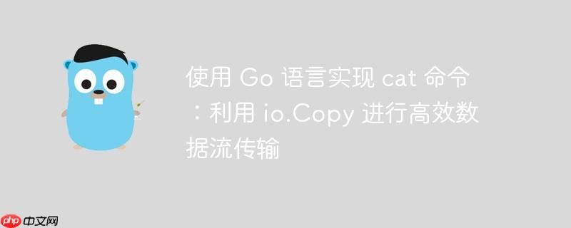 使用 Go 语言实现 cat 命令：利用 io.Copy 进行高效数据流传输