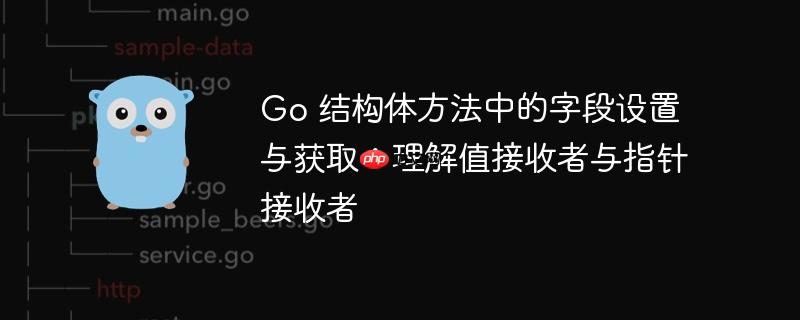 Go 结构体方法中的字段设置与获取：理解值接收者与指针接收者

