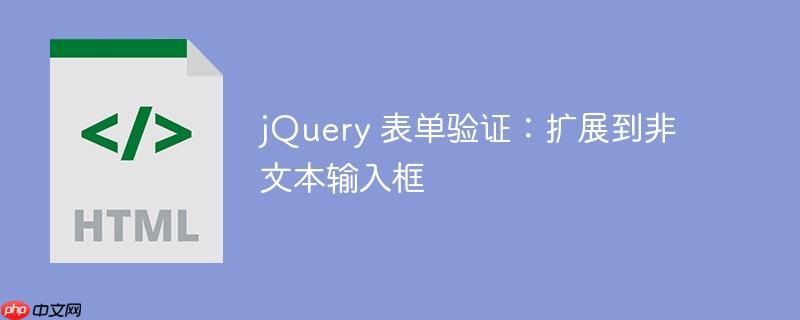 jQuery 表单验证:扩展到非文本输入框