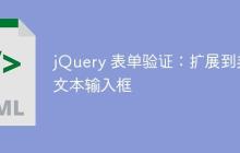jQuery 表单验证：扩展到非文本输入框