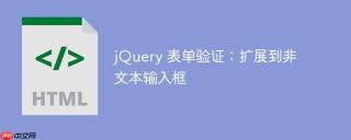 jQuery 表单验证：扩展到非文本输入框