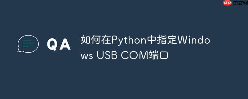 如何在python中指定windows usb com端口