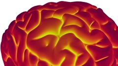 We Are At Acute Agency Decay Amid AI. 4 Ways To Preserve Your Brain