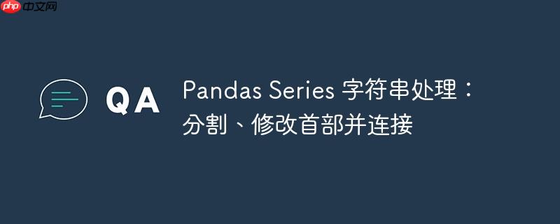 Pandas Series 字符串处理：分割、修改首部并连接