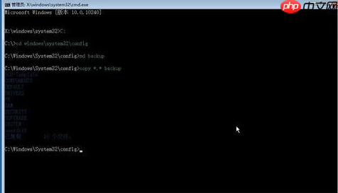 Win10系统进入安全模式黑屏了的解决方法